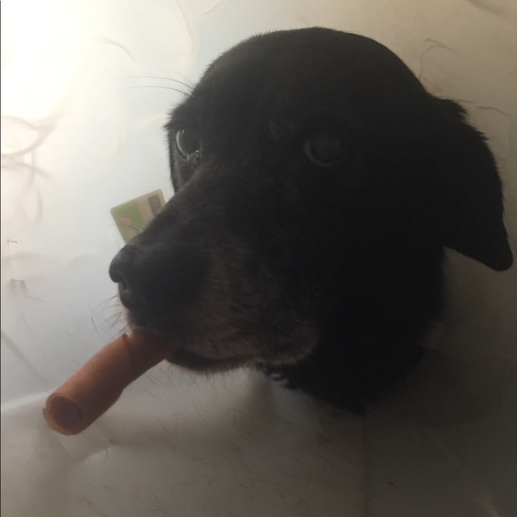 Meet your Seller/Buyer, Diana - Picture 8 of 8